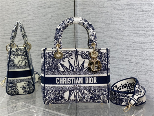 CD Medium Lady Di.or D-Lite Bag R??ve d’Infini  Embroidery Blue and White