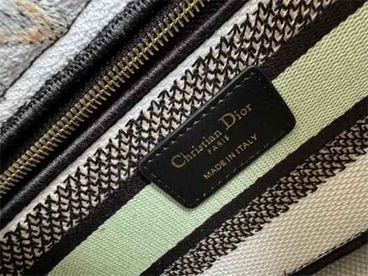 CD Medium Lady Di.or D-Lite Bag Butterfly Around The World Embroidery White and Green