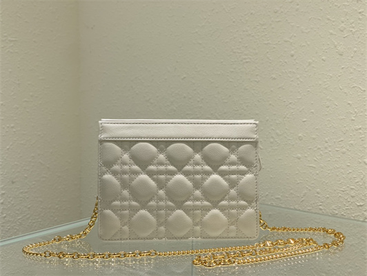 CD Caro Zipped Pouch Supple Cannage Calfskin Gold Tone Metal White