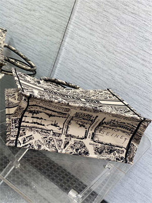 CD Large Book Tote Beige and Black Plan de Paris Embroidery