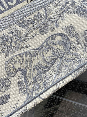 CD Large Book Tote Toile de Jouy Embroidery Ecru and Gray