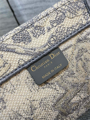 CD Large Book Tote Toile de Jouy Embroidery Ecru and Gray