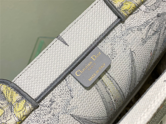 CD Large Book Tote R??ve d’Infini Embroidery Grey Multicolor