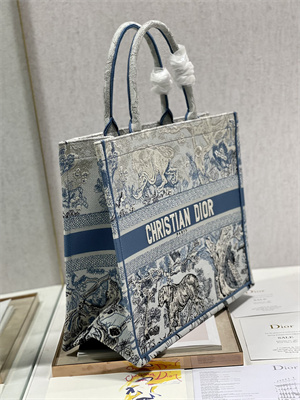 CD Large Book Tote Gradient Toile de Jouy Embroidery Blue
