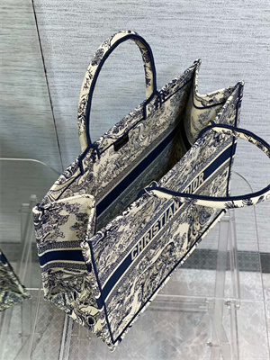 CD Large Book Tote Toile de Jouy Embroidery Ecru and Blue