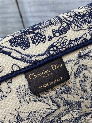 CD Large Book Tote Toile de Jouy Embroidery Ecru and Blue