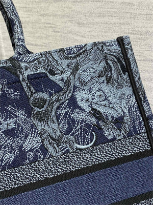 CD Large Book Tote Toile de Jouy Embroidery Denim Blue