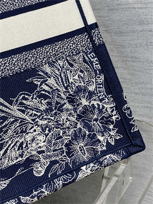 CD Large Book Tote R??ve d’Infini Embroidery Blue and White