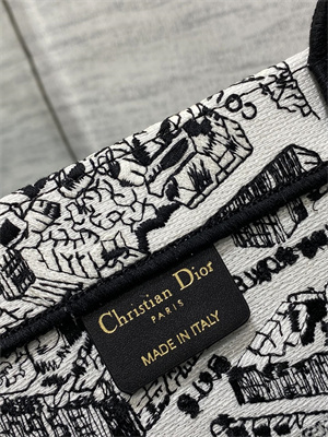CD Medium Book Tote White and Black Plan de Paris Embroidery