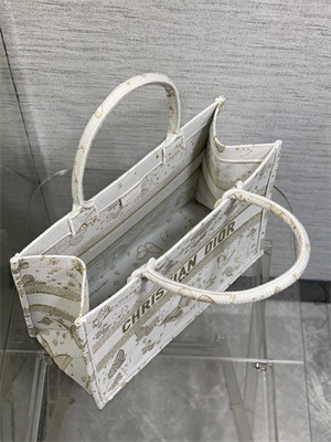 CD Medium Book Tote Butterfly Zodiac Embroidery Gold Tone and White