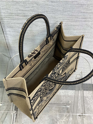 CD Medium Book Tote Jute Canvas Embroidery With Tiger