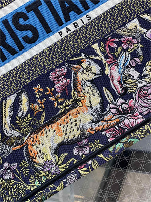 CD Medium Book Tote D-Constellation Embroidery Black Multicolor