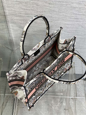 CD Medium Book Tote Butterfly Around The World Embroidery White and Pastel Pink