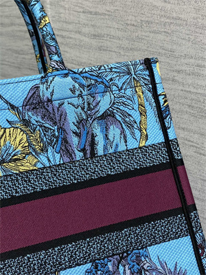 CD Medium Book Tote Voyage Toile de Jouy Embroidery Blue and Multicolor