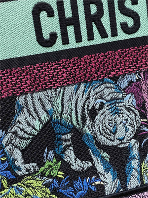 CD Medium Book Tote Voyage Toile de Jouy Embroidery Green and Multicolor