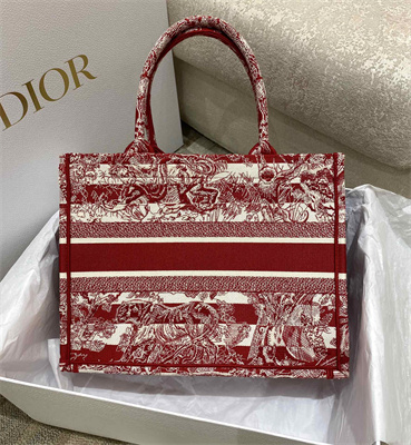 CD Medium Book Tote Stripes Toile de Jouy Embroidery White and Red