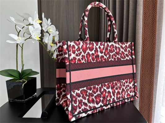 CD Medium Book Tote Pink Multicolor Mizza Embroidery