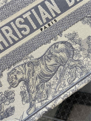 CD Medium Book Tote Toile de Jouy Embroidery Ecru and Grey