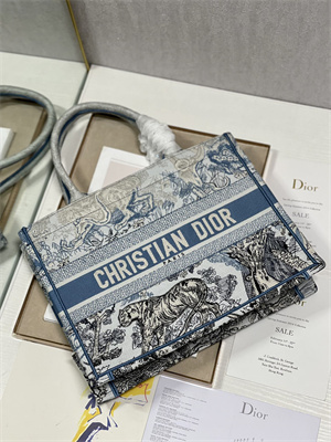 CD Medium Book Tote Gradient Toile de Jouy Embroidery Blue