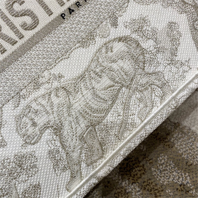 CD Medium Book Tote Toile de Jouy Embroidery White and Gold