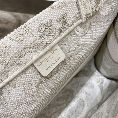 CD Medium Book Tote Toile de Jouy Embroidery White and Gold