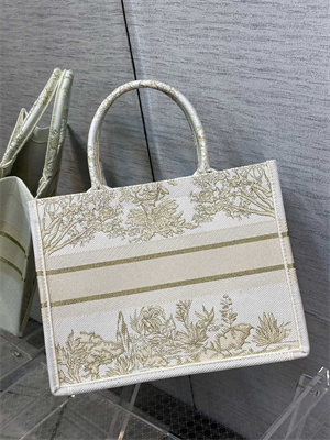 CD Medium Book Tote R??ve d’Infini Embroidery White and Gold Tone