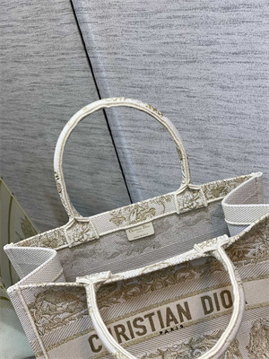 CD Medium Book Tote R??ve d’Infini Embroidery White and Gold Tone