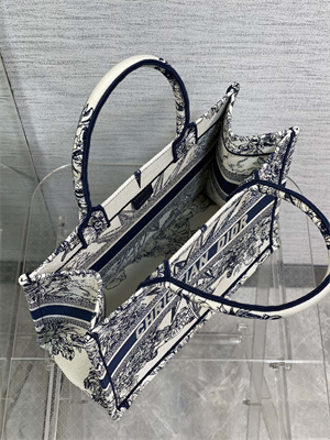 CD Medium Book Tote R??ve d’Infini Embroidery White and Blue