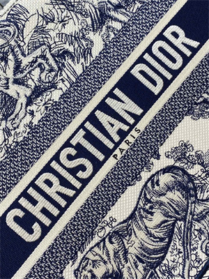 CD Medium Book Tote Toile de Jouy Embroidery Ecru and Blue