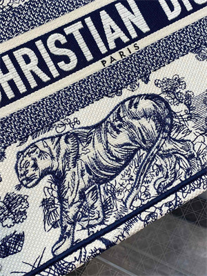 CD Medium Book Tote Toile de Jouy Embroidery Ecru and Blue