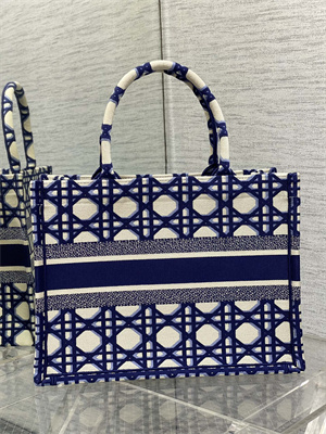 CD Medium Book Tote Beige and Blue Macrocannage Embroidery