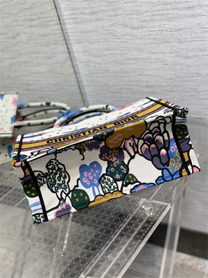 CD Medium Book Tote Ciel de R??ve Embroidery White Multicolor