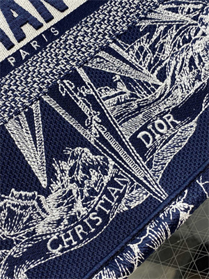 CD Medium Book Tote R??ve d’Infini Embroidery Blue and White