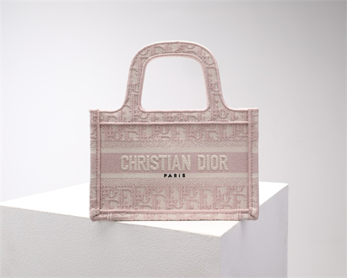CD Mini Book Tote Pink Oblique Embroidery