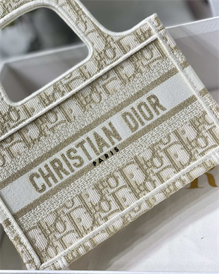 CD Mini Book Tote Oblique Embroidery White and Gold Tone