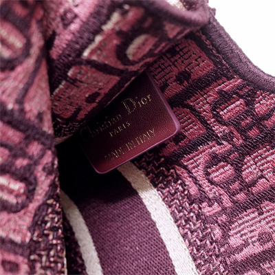 CD Mini Book Tote Oblique Embroidery Burgundy