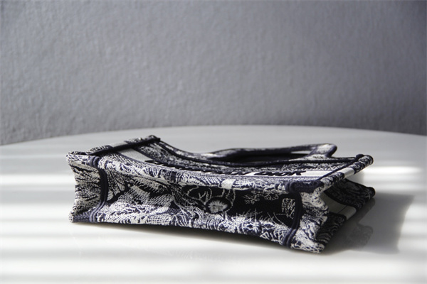 CD Mini Book Tote Toile de Jouy Reverse Embroidery Blue and Ecru