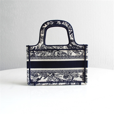 CD Mini Book Tote Toile de Jouy Embroidery Ecru and Blue