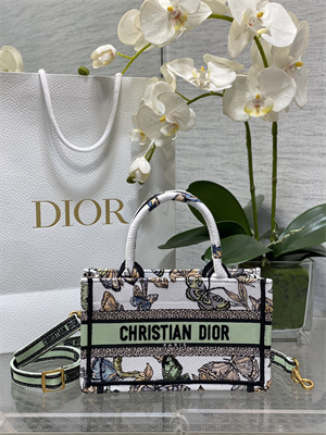 CD Mini Book Tote With Strap Toile de Jouy Mexico Embroidery White Multicolor