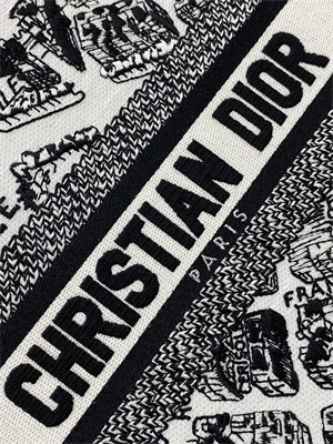 CD Small Book Tote White and Black Plan de Paris Embroidery