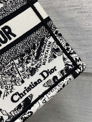 CD Small Book Tote White and Black Plan de Paris Embroidery