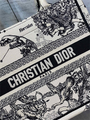 CD Small Book Tote Di.or Zodiac Embroidery Latte and Black