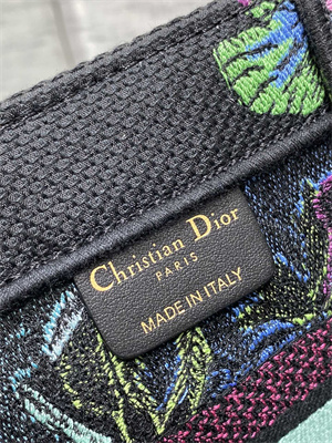 CD Small Book Tote Voyage Toile de Jouy Embroidery Green Multicolor