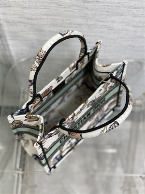 CD Small Book Tote Toile de Jouy Mexico Embroidery White Multicolor