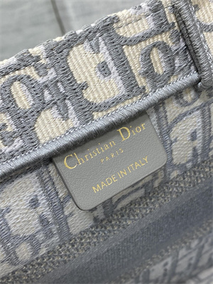 CD Small Book Tote Ecru and Grey Oblique Embroidery