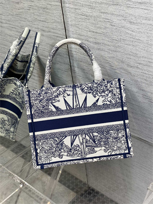 CD Small Book Tote R??ve d’Infini Embroidery White and Blue