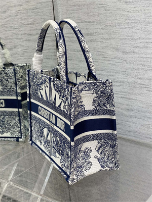 CD Small Book Tote R??ve d’Infini Embroidery White and Blue
