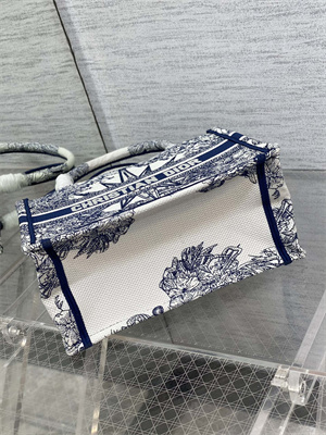 CD Small Book Tote R??ve d’Infini Embroidery White and Blue
