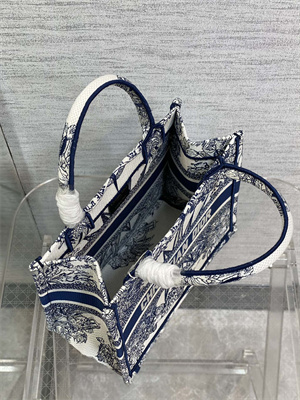 CD Small Book Tote R??ve d’Infini Embroidery White and Blue