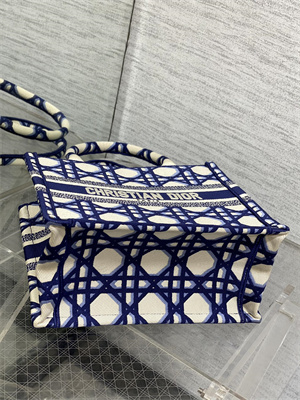 CD Small Book Tote Beige and Blue Macrocannage Embroidery